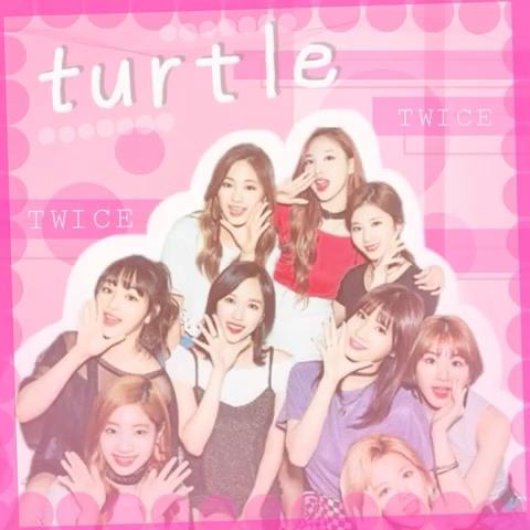 めいさんのミクチャ動画 Turtle タートル Twice Like コメントいっぱい待ってますっ ホームのり