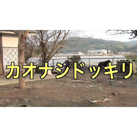 さかな カオナシ代表 さんのミクチャ動画 ペットにカオナシドッキリしても襲われるだけ