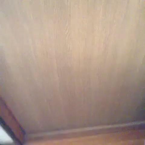 JSオナニー 駿河屋