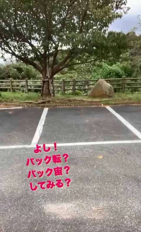 Tony  Actor さんのミクチャ動画 - いっちょアクロバットしてみるかい？