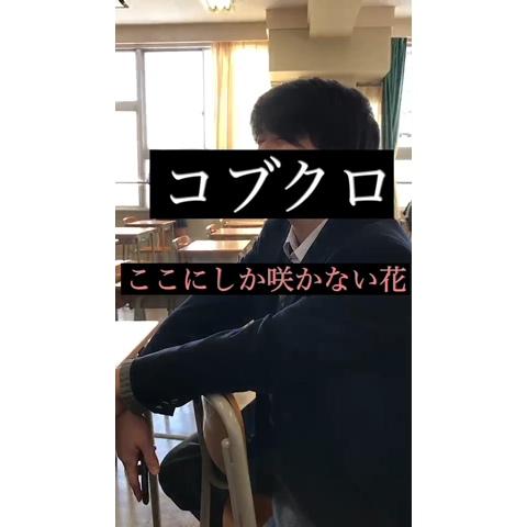 トップコレクション コブクロ ここにしか咲かない花 Pv 人気のある画像を投稿する