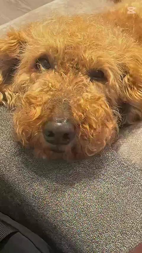 ℳ𝒜ℛℐ𝒩🧸𖤐⡱さんの動画