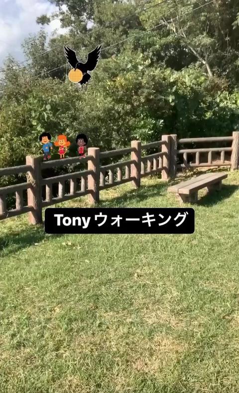 Tony  Actor さんのミクチャ動画 -  Tonyウォーキング