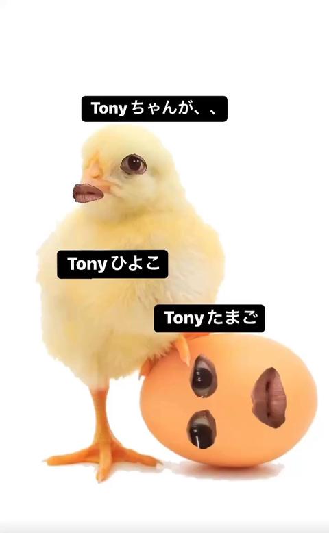 Tony  Actor さんのミクチャ動画 -  Tonyちゃんが、、、