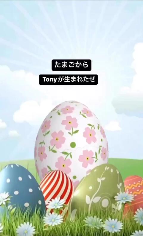 Tony  Actor さんのミクチャ動画 - たまごから、、