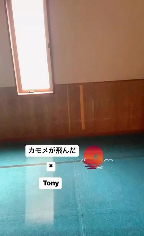 Tony  Actor さんのミクチャ動画 - カモメが飛んだ