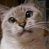 ひとり