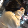 ぽ