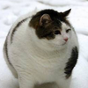 ガン