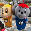 〽️かおん👾🐝