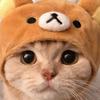 ひなの