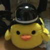 かいと