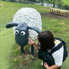 あいか