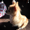 さや♬音響