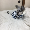 ナ