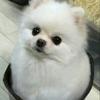 おでーぶ