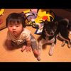 おーた