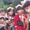 あおい