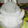 リヴァイ、こうのすけ