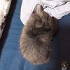 まろにーたんの奴隷🙈