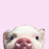 みやび🐖 -低浮上-