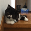 ダイキ