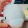 "SIORIﾊﾝ🐢"