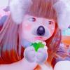 レッサーパンダ🐼