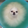 む