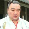 日馬富士