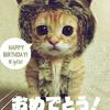 はらちゃん
