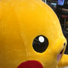はる