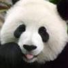 じゅん🐼