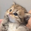 と