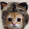 あわわ