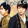 🌹kanae🌹