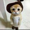 かびごん