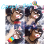 ✱ただのあほ✱
