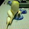 こいき