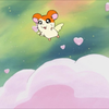ちび🐹💛✨