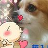 スノたんサブあか