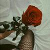 Miran.🦄🌹