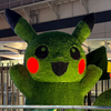 じーーーま💯
