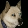 ぎなんちょ。😜
