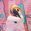 🐹コロコロシュガー🐹