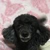 ひろ