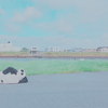 みるくちゃん