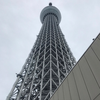 チャンネルおう様