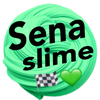 Sena_🏁💚