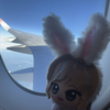 ⟡みさきっち🦄🫧🐶🤍🐣‪🍀 🧚‍♂️💟🌻